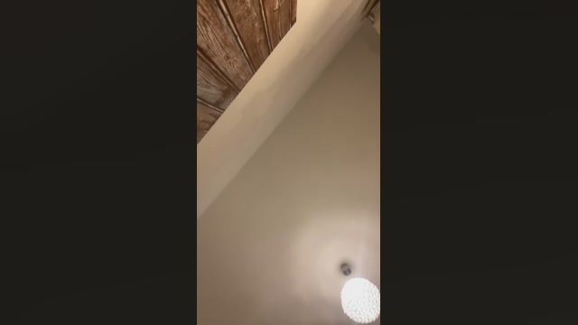 365dni83691  15-09-2022